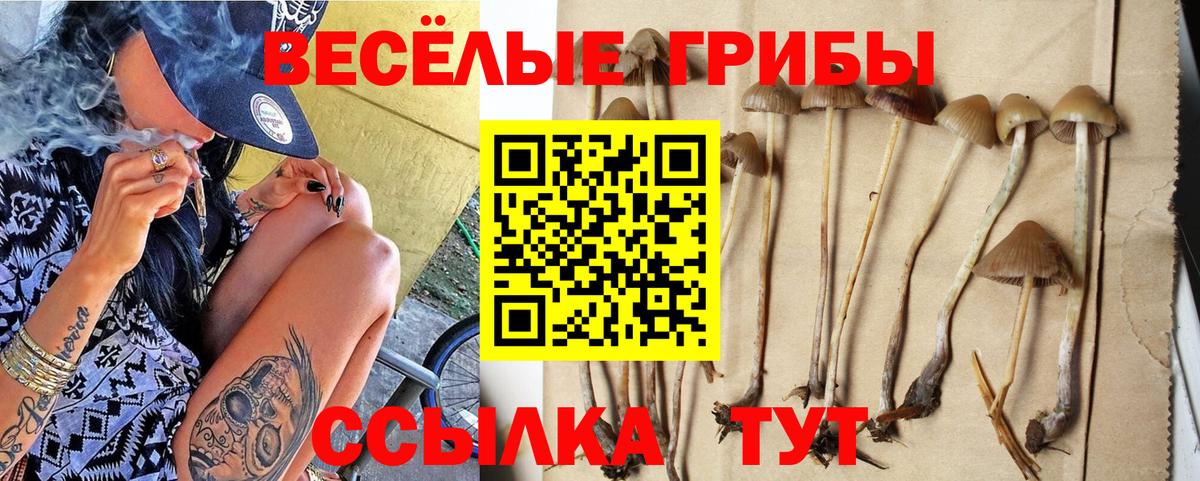 Галлюциногенные грибы MAGIC MUSHROOMS Карталы