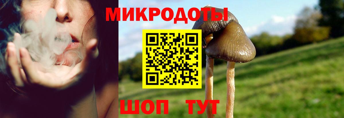 Галлюциногенные грибы прущие грибы  Галлюциногенные грибы мицелий  Вход с VPN  Карталы 